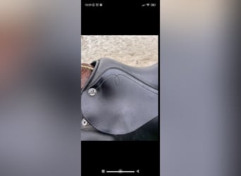 Dressursattel von Prestige 