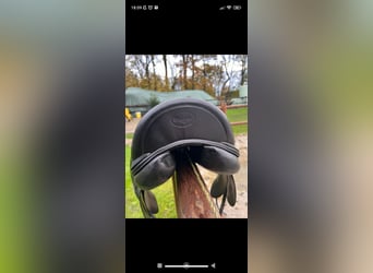 Dressursattel von Prestige 