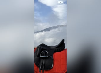 Erreplus Dressursattel