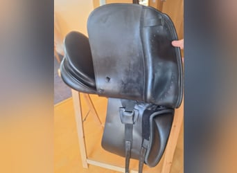 Euroriding Emilio (Prestige)