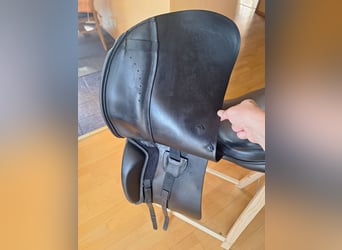 Euroriding Emilio (Prestige)