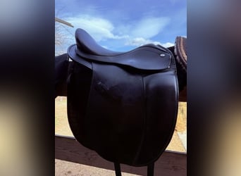 Hidalgo Venice 18' (Lederbaum)