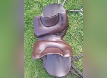 IBERO Dressage Andaluz