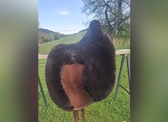 IBERO Dressage Andaluz
