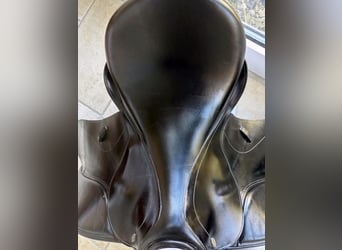 Kentauer Medea 17,5“