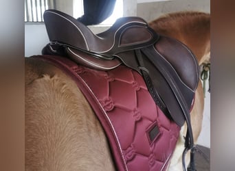 Philimar Dressursattel 18er Sitz Dunkelbraun