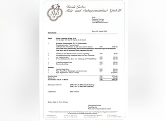 Prestige Dressursattel D1