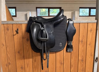 🖤 Prestige Italia X-D2 SC Dressursattel 18 M – Air-System von Carsten Engelke