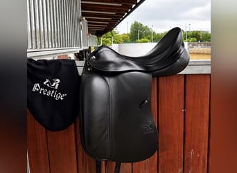 Prestige Top Dressage
