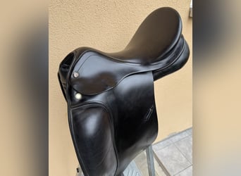 Prestige Top Dressage