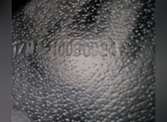 Prestige X-D2 Dressursattel