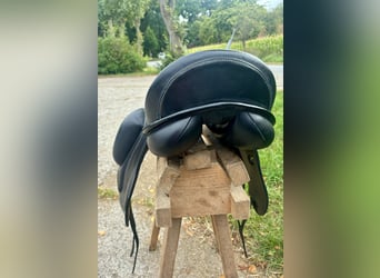 SeaBis Córdoba Pro 17“