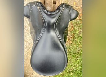 SeaBis Córdoba Pro 17“