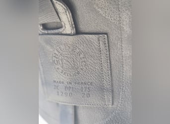 ✨ Selle Childeric DPL 17.5 – 2020 ✨