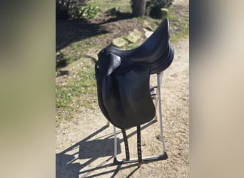 ✨ Selle Childeric DPL 17.5 – 2020 ✨