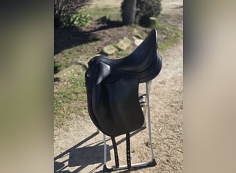 ✨ Selle Childeric DPL 17.5 – 2020 ✨