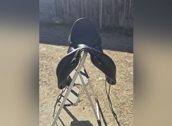 ✨ Selle Childeric DPL 17.5 – 2020 ✨