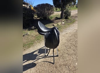 ✨ Selle Childeric DPL 17.5 – 2020 ✨