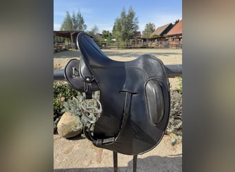 Signum Sattel Omega Rose working Equitation 