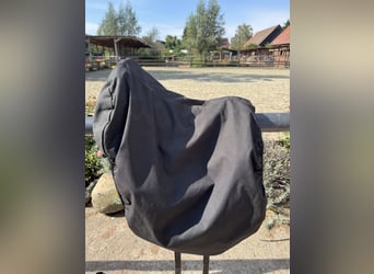 Signum Sattel Omega Rose working Equitation 