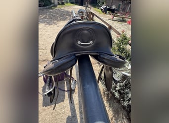 Signum Sattel Omega Rose working Equitation 