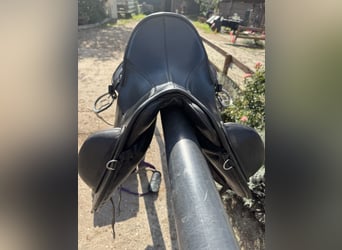 Signum Sattel Omega Rose working Equitation 