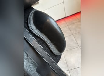 Sommer Salvadore sucht neuen Lieblingsrücken Sommer Salvadore sucht neuen Lieblingsrücken