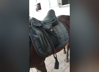 Spirig Dressursattel