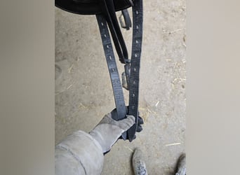 Toller PDS Dressursattel Carl Hester Aberdeen 17,5 Zoll Monoblatt 