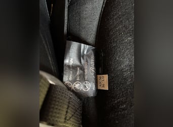 Wintec Pro 16 1/2“