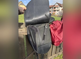 Wintec Pro 16 1/2“