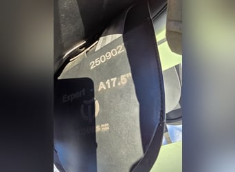 Eques Sattel Expert 17,5 Zoll - nagelneu