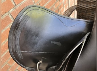 Eques Sattel „Gold by Black“ Sattel 17,5 Zoll mit Wolle aus 2024