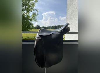 Islandpferde Sattel Ástund Super