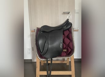 Stübben Focus BH Benni‘s Harmony XW 17,5 Zoll