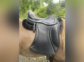 Tölt-/Dressursattel, Sattelkompass Emotion