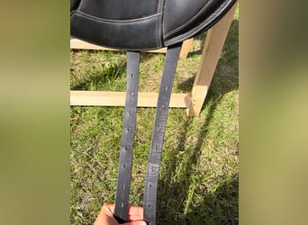Ikonic Dressursattel 16,5 Zoll