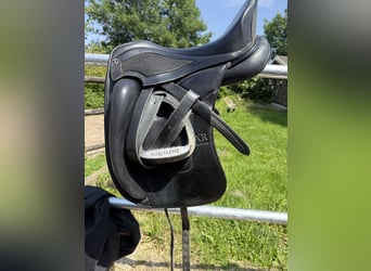 Philimar Ponymaßsattel XR