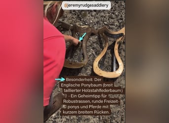 Ponysattel für Erwachsene, extra kurz 40 cm, Probeversand — Isländer Haflinger Tinker Welsh COB