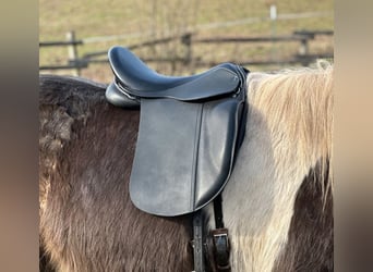 Ponysattel für Erwachsene, extra kurz 40 cm, Probeversand — Isländer Haflinger Tinker Welsh COB