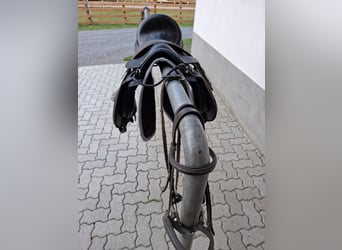 Ponysattel