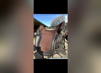 Ludomar Venus Flexibel