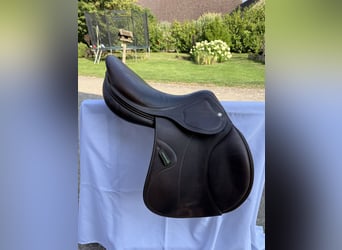 Amerigo DJ Largo Pinerolo • 17,5‘‘ • schokobraun