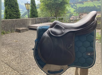 Amerigo DJ Largo Pinerolo Springsattel 17.5 Zoll