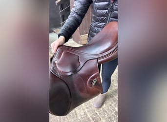 Amerigo Pinerolo Springsattel 