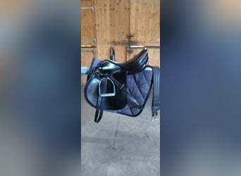 Amerigo Vega Springsattel