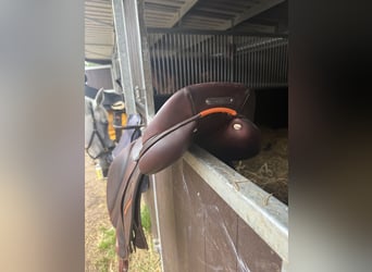 Antares Evolution Springsattel