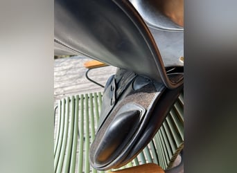 Cobra Springsattel schwarz 17,5 Zoll in sehr gutem Zustand