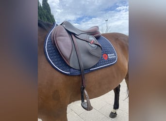 CWD 2G Carbon Sattel Springen