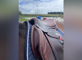 CWD 2G Carbon Sattel Springen
